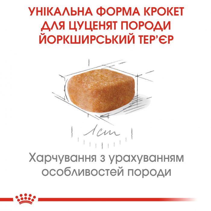 ЙОРКШИРСКИЙ ТЕРЬЕР ДО 10 МЕСЯЦЕВ