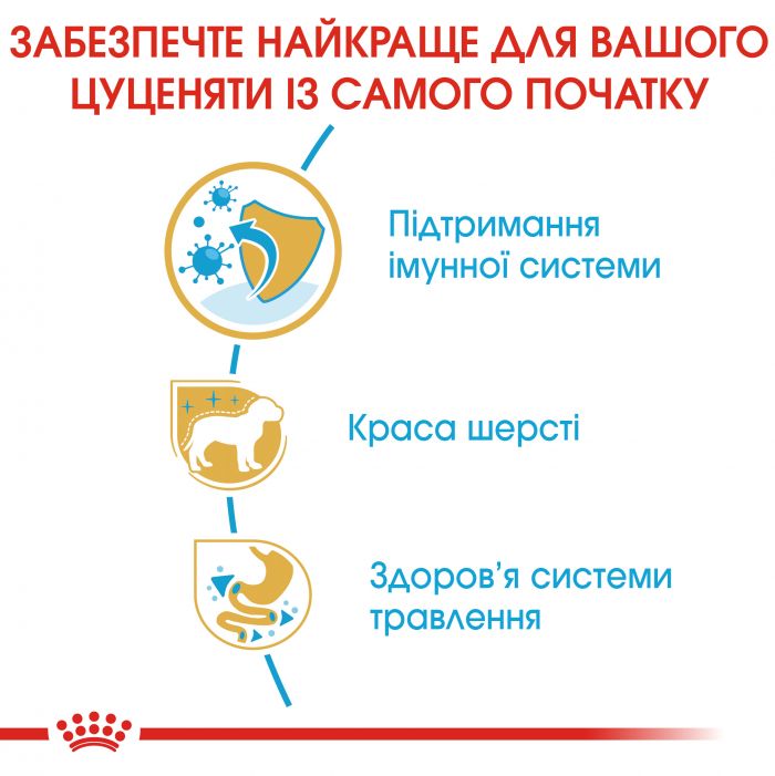 ЙОРКШИРСКИЙ ТЕРЬЕР ДО 10 МЕСЯЦЕВ