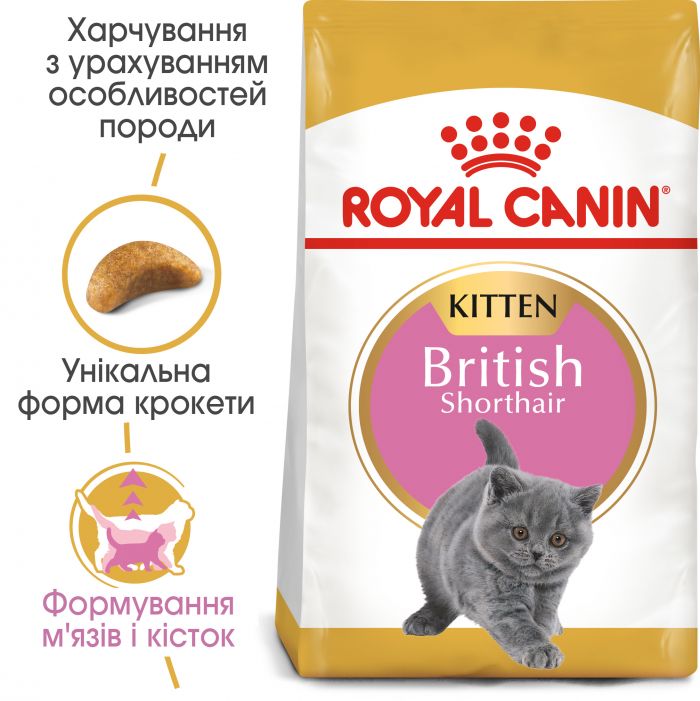 Royal Canin British Shorthair Kitten Сухий корм для кошенят британської породи