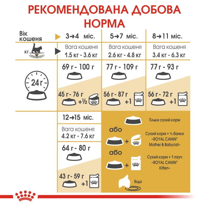 КОТЯТА ПОРОДЫ МЕЙН КУН ДО 15 МЕСЯЦЕВ