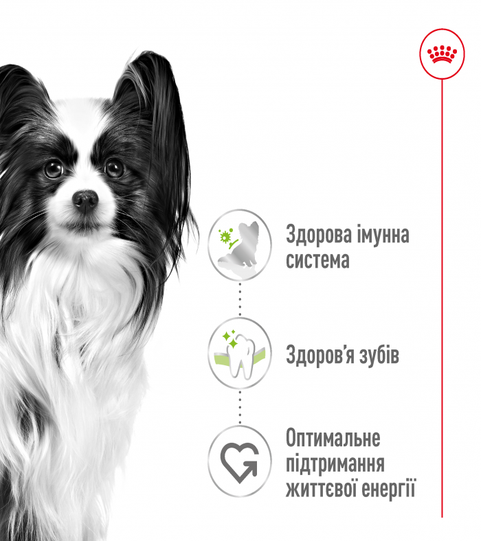 Royal Canin X-Small Adult сухий корм для собак мініатюрних порід